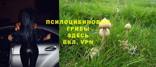 ECSTASY Зеленокумск