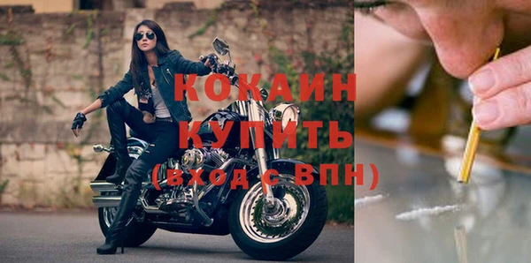 стафф Заводоуковск