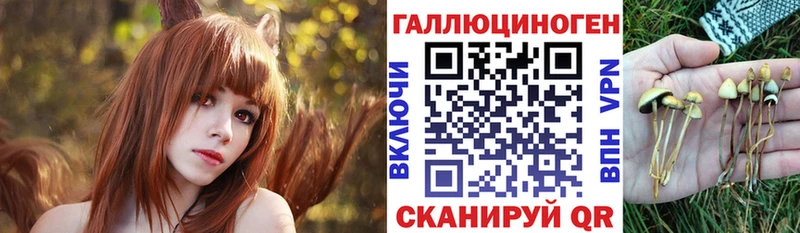Купить закладки  Нестеровская  Галлюциногенные грибы ЛСД 